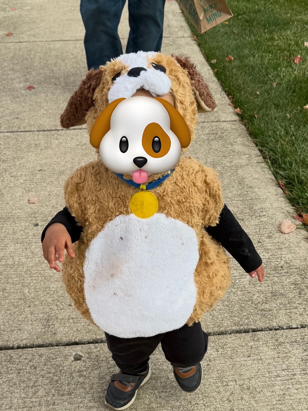 Puppy dog Halloween costume